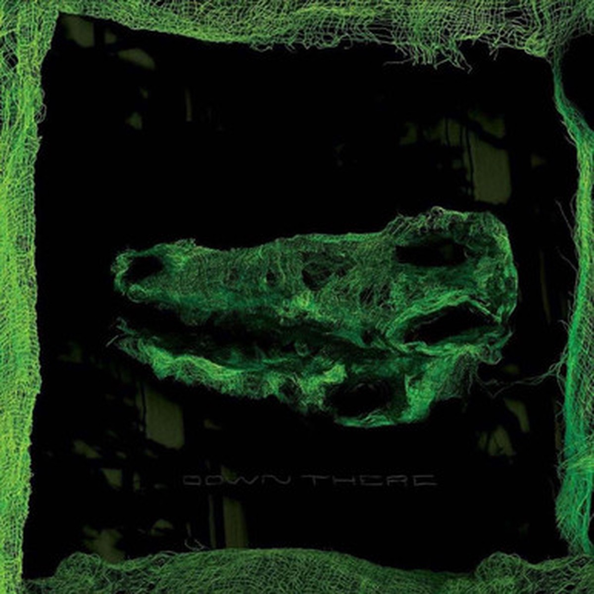 Avey Tare - Down There (LP)