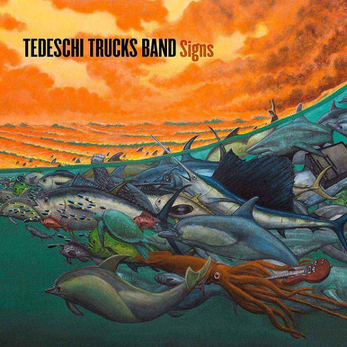 Tedeschi Trucks Band - Signs (LP)