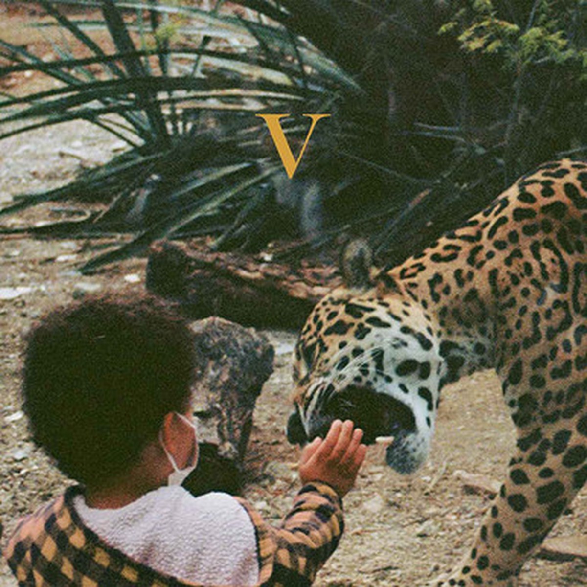 Unknown Mortal Orchestra - V (2LP) - Gold Nugget Vinyl
