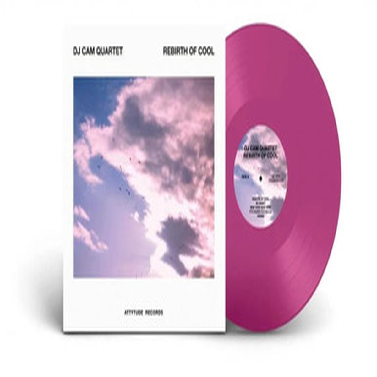 DJ Cam Quartet - Rebirth Of Cool (LP)