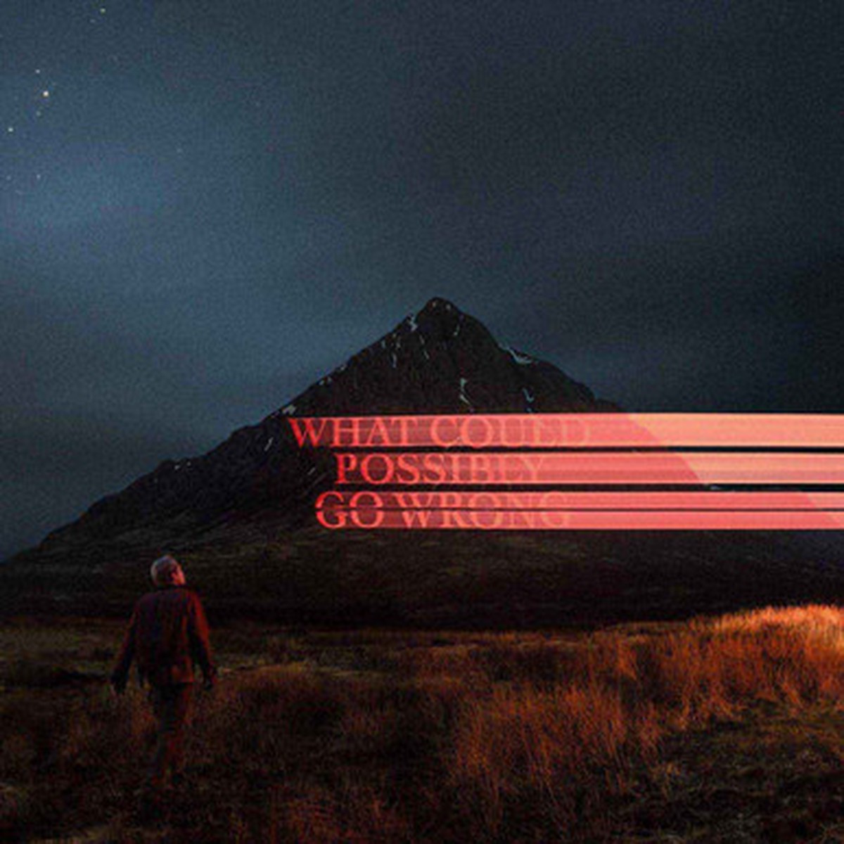 Dominic Fike - What Could Possibly Go Wrong (LP)