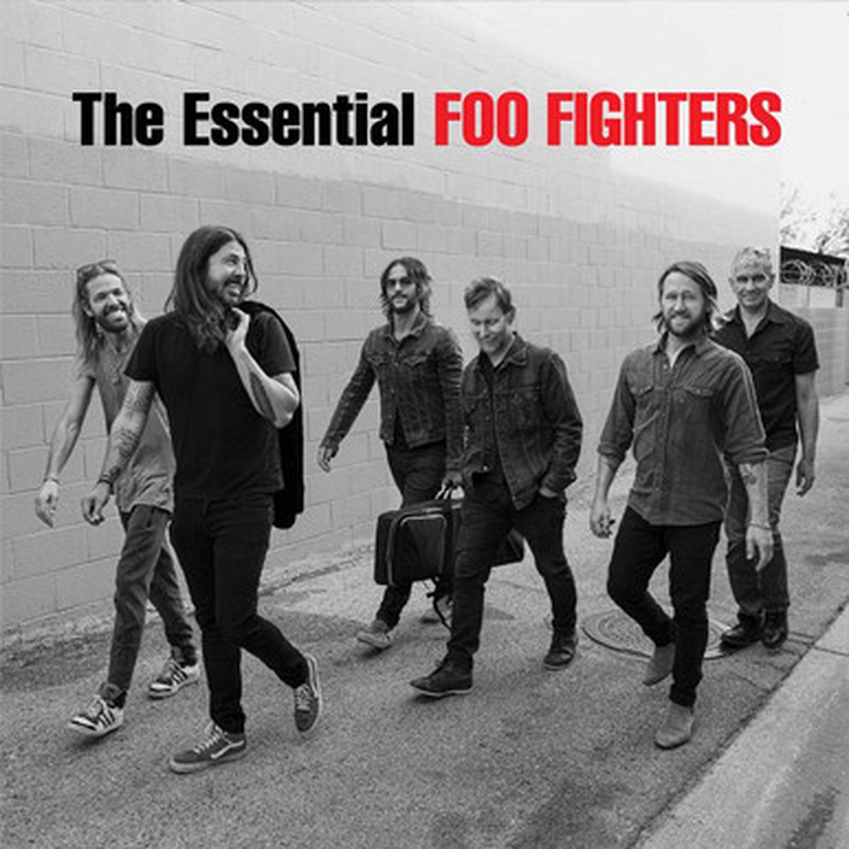 Foo Fighters - The Essential (2LP)