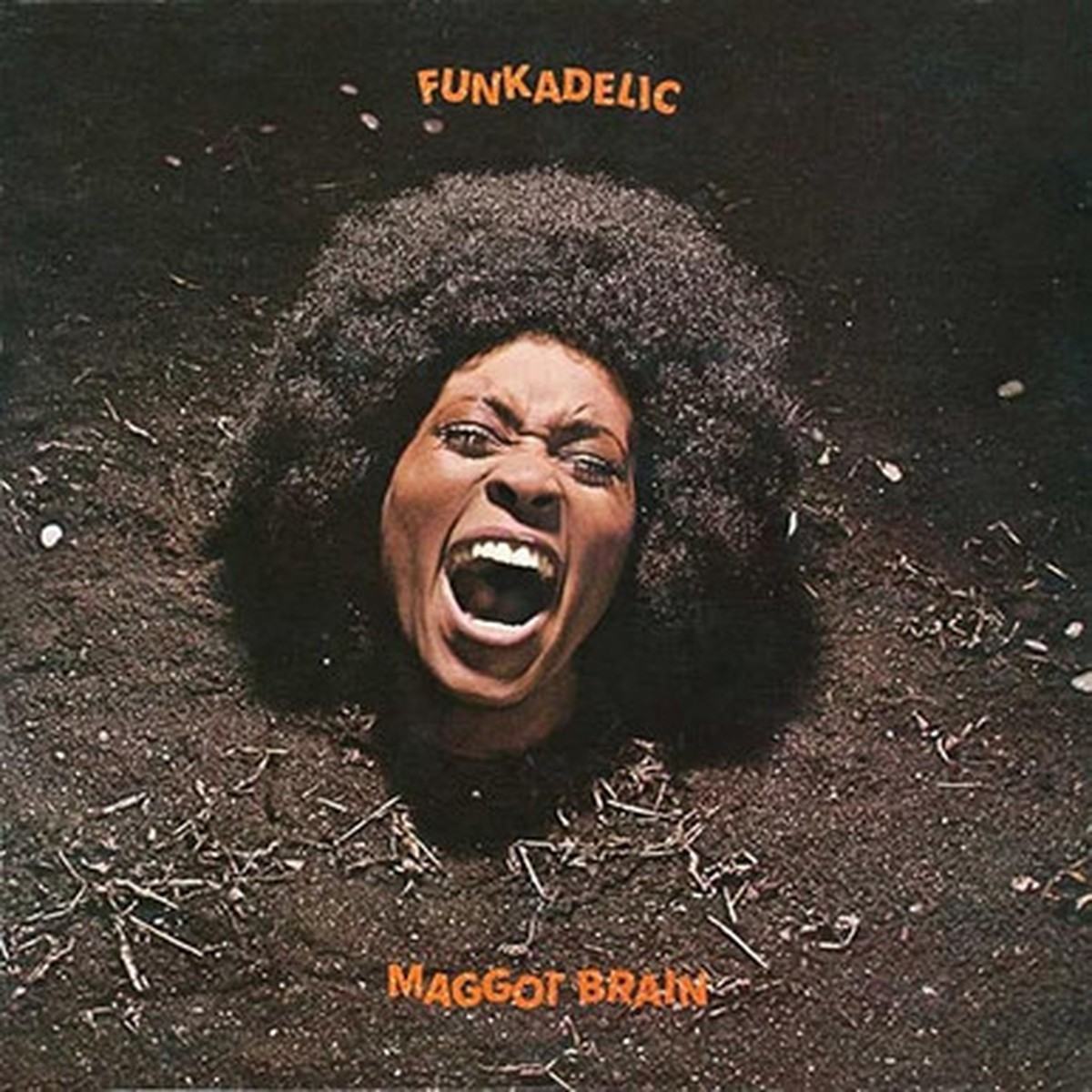 Funkadelic - Maggot Brain (LP) - Peach Vinyl