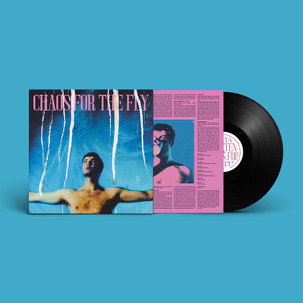 Grian Chatten - Chaos For The Fly (LP)