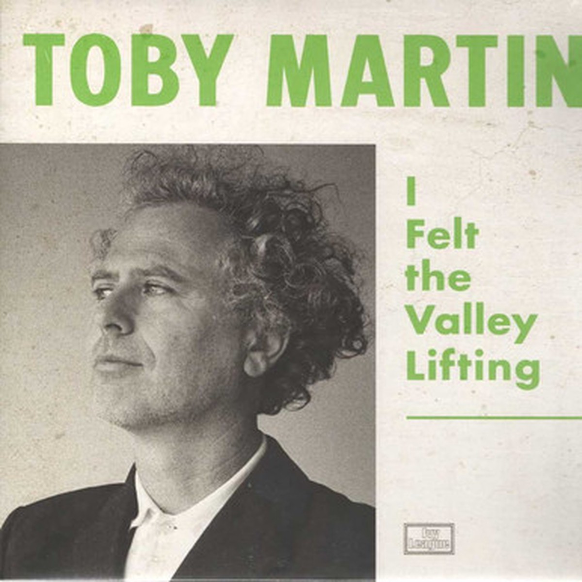 Toby Martin - I Felt The Valley Lifting (LP)