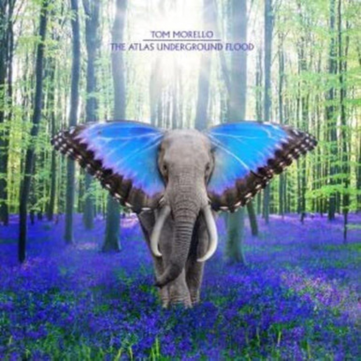 Tom Morello - The Atlas Underground Flood (2LP) - 45RPM - Sky Blue Grape Vinyl