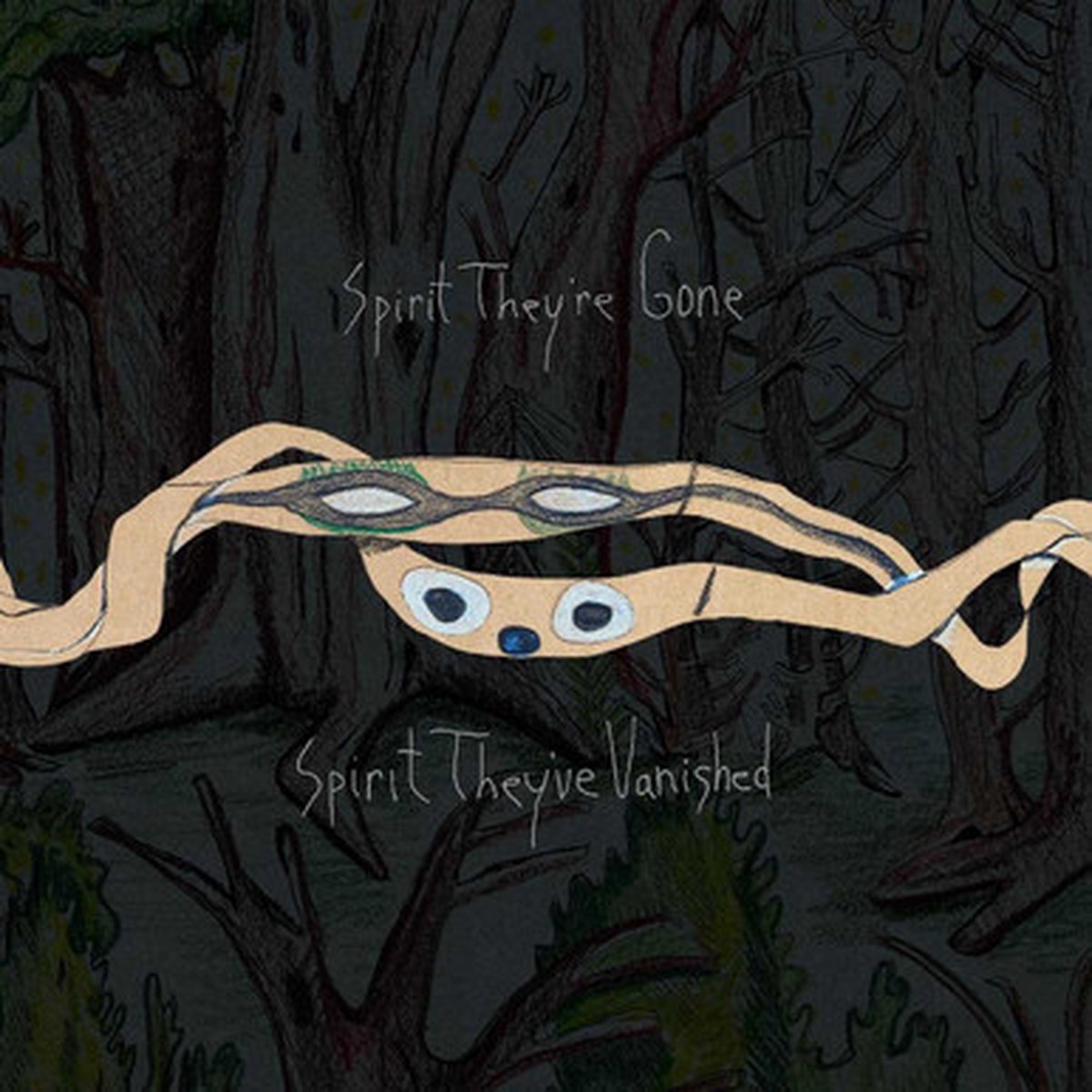 Animal Collective - Spirit They're Gone Spirit They've Vanished (2LP)