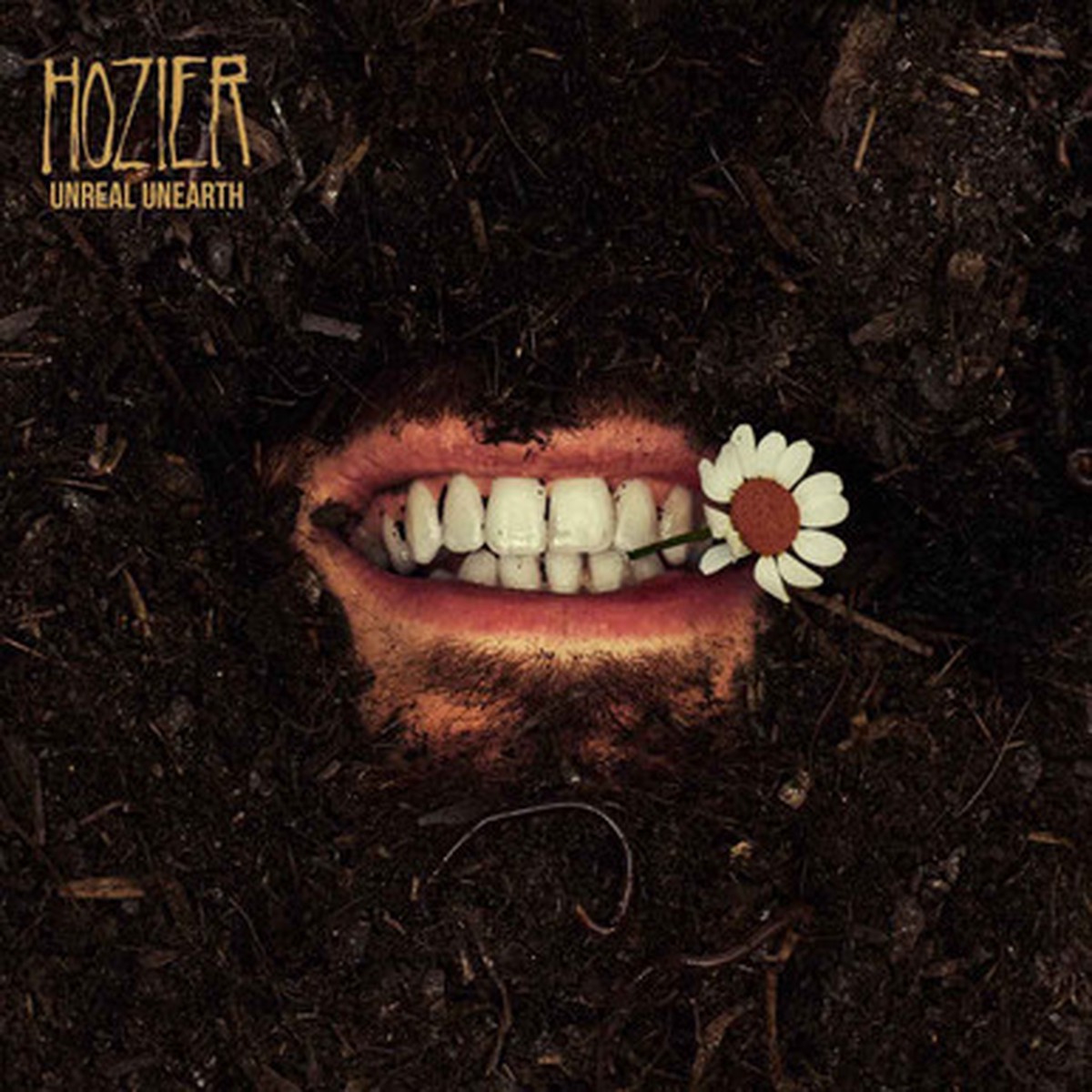 Hozier - Unreal Unearth (2LP) - US Pressing