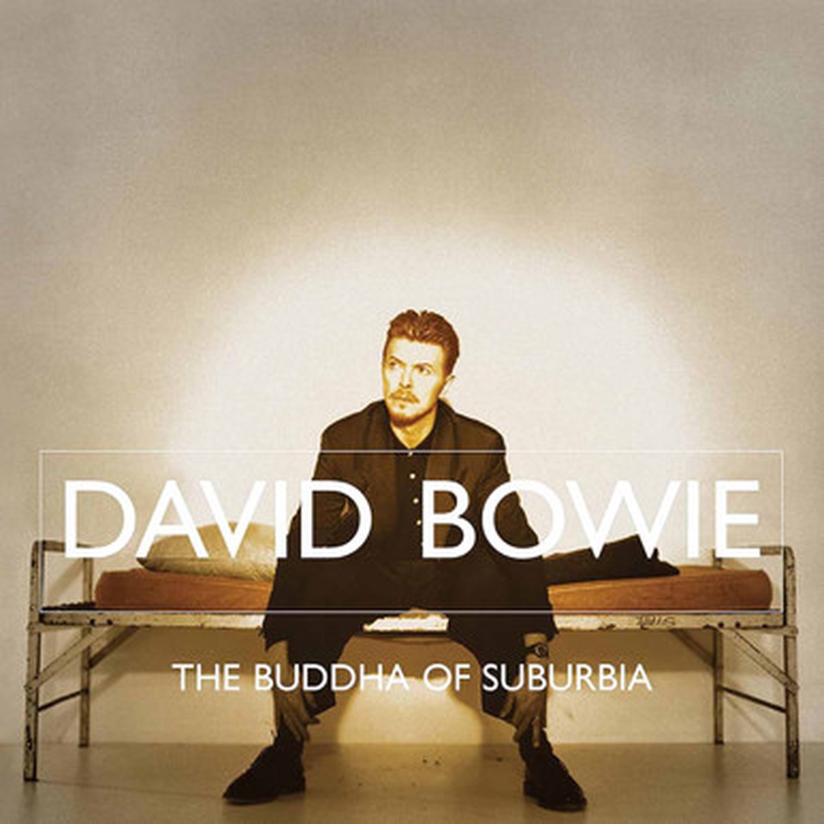 David Bowie - The Buddha Of Suburbia (2LP)