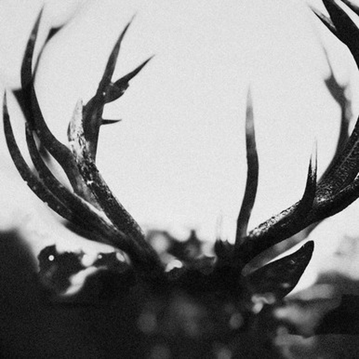 Ihsahn - Ihsahn (2LP) - Black Yolk Vinyl