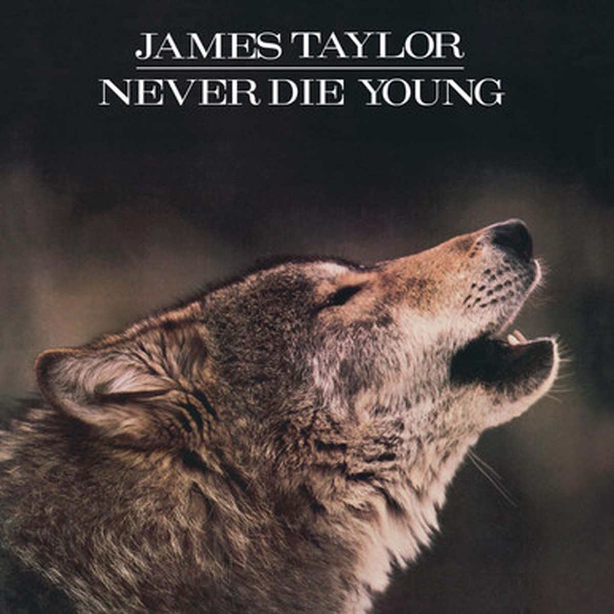 James Taylor - Never Die Young (LP) - Limited Edition White & Black Marbled Vinyl