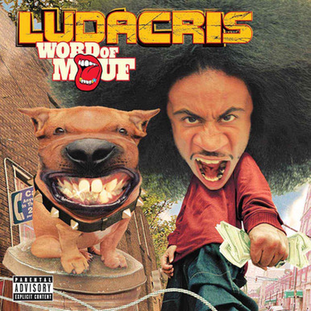 Ludacris - Word Of Mouf (2LP) - Fruit Punch Vinyl