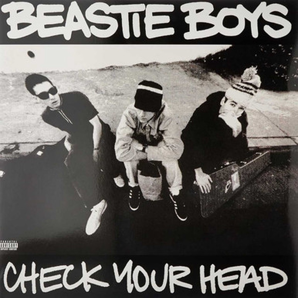 Beastie Boys - Check Your Head (2LP)