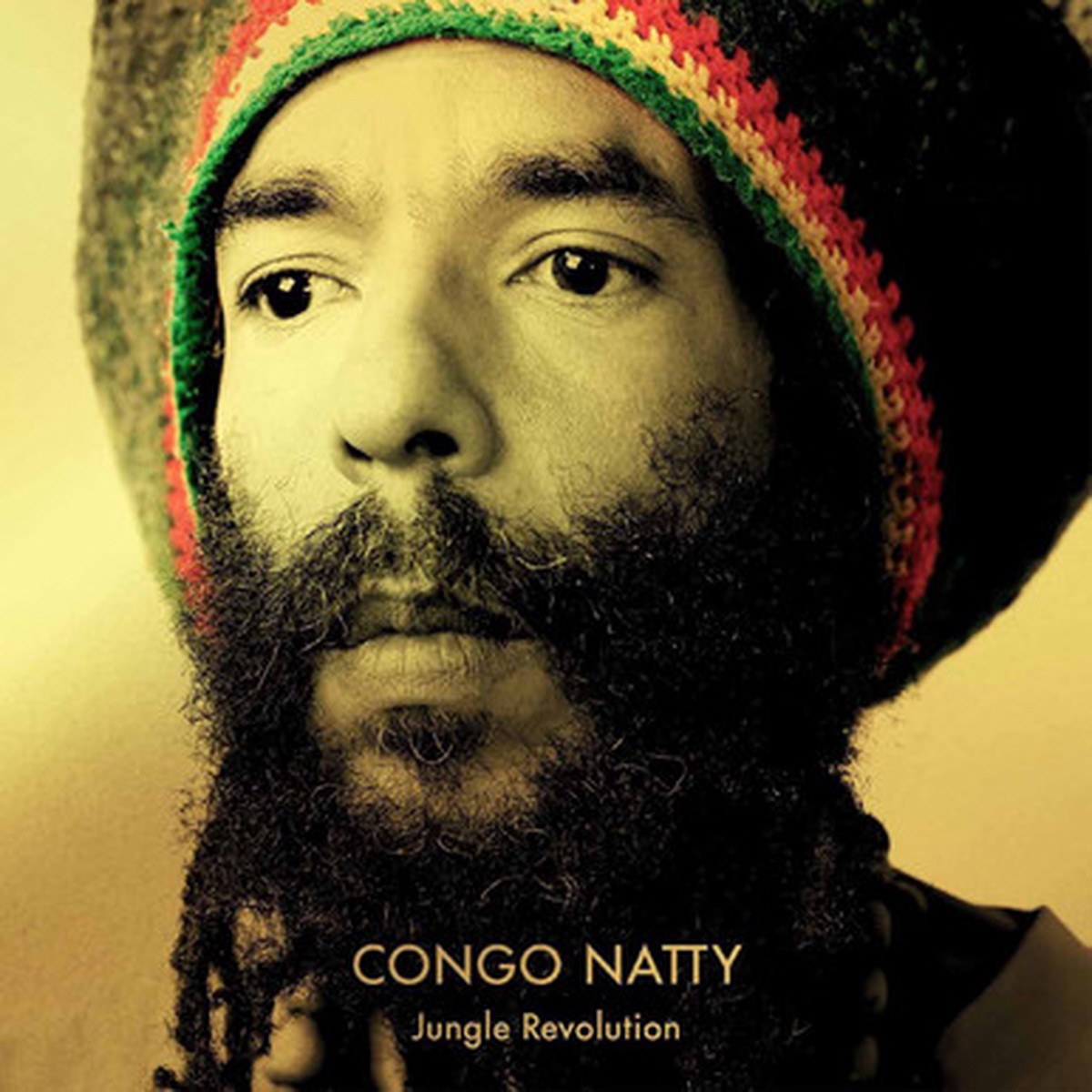 Congo Natty - Jungle Revolution (2LP) - 10th Anniversary Yellow & Green Vinyl