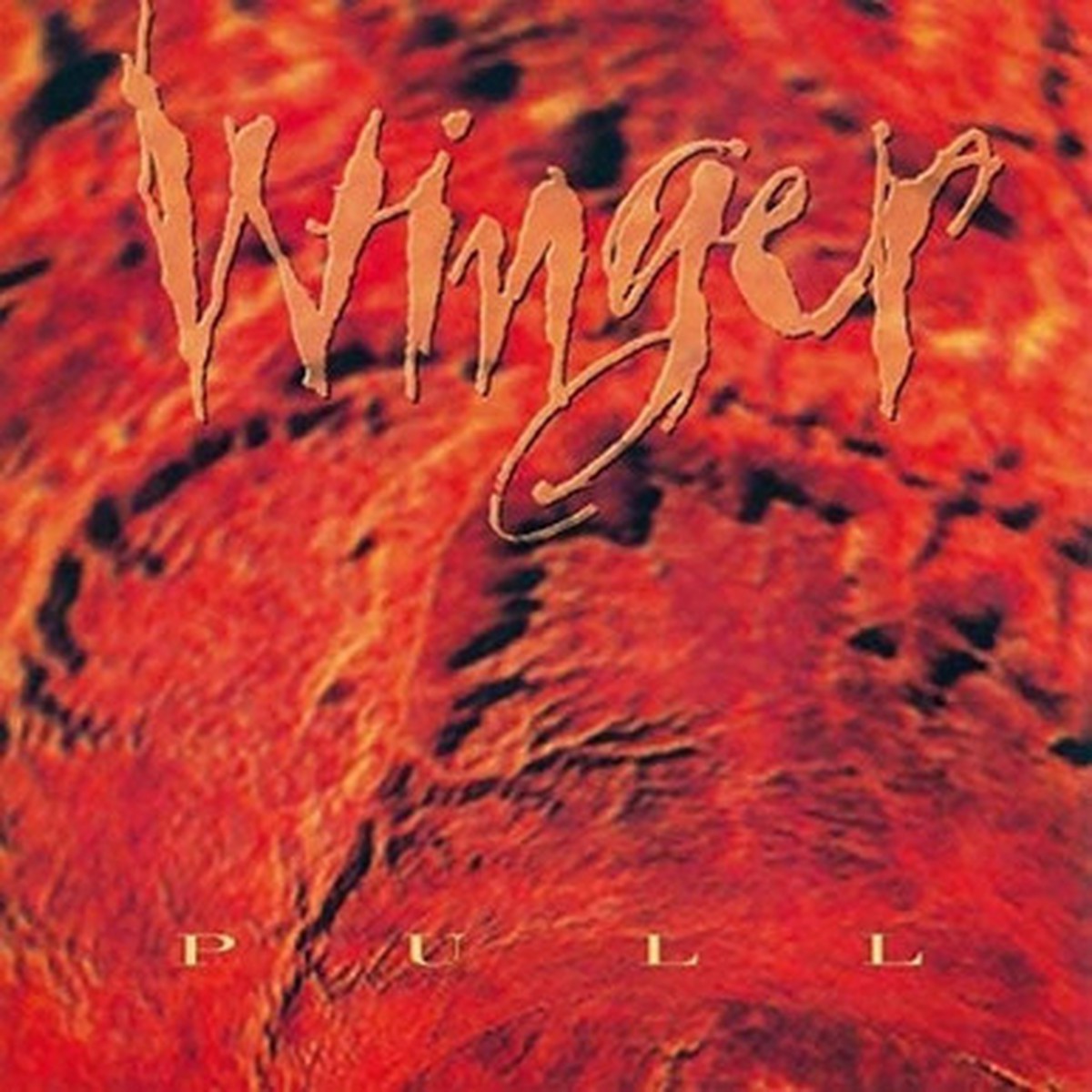 Winger - Pull (LP)