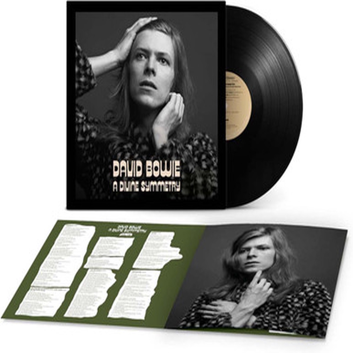 David Bowie - A Divine Symmetry (An Alternative Journey Through Hunky Dory) (LP)