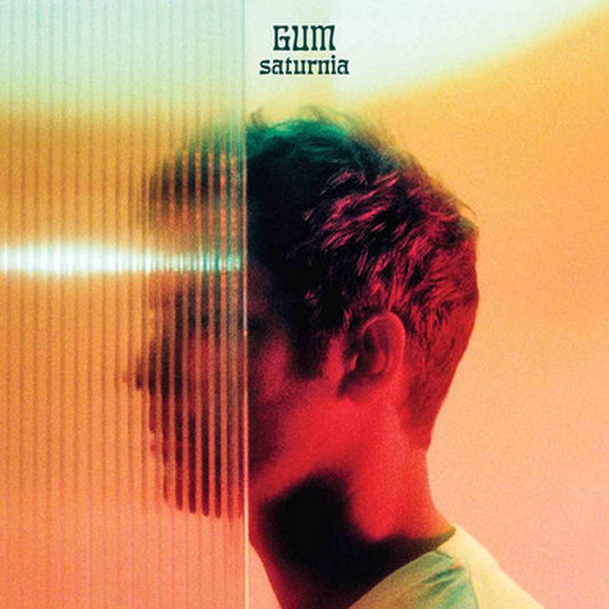Gum - Saturnia (LP) - Clear Vinyl