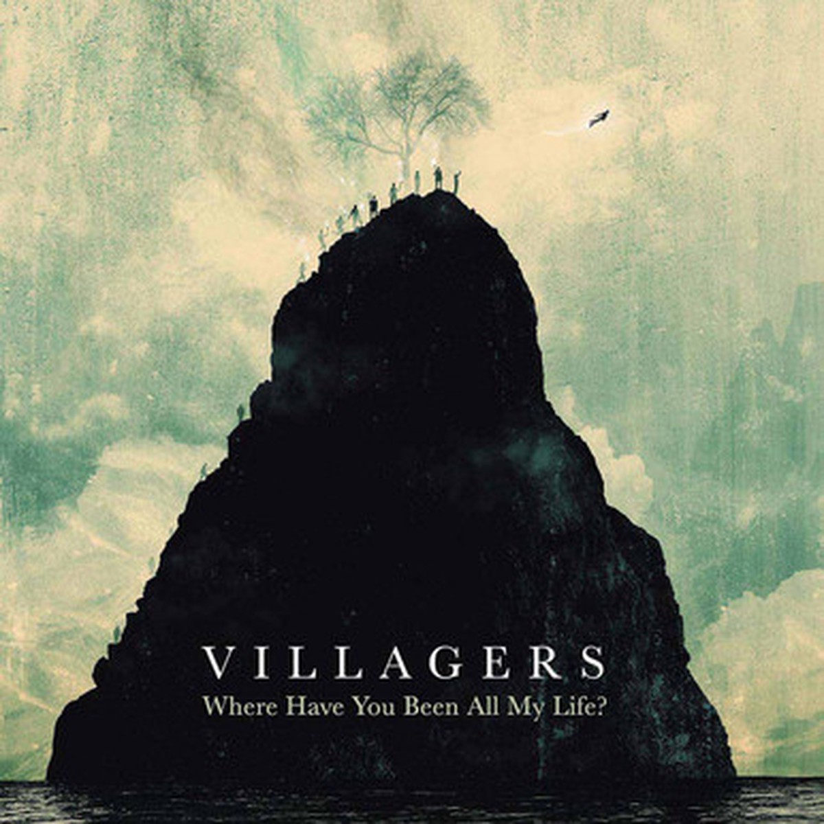 Villagers - Where Have You Been All My Life? (LP)