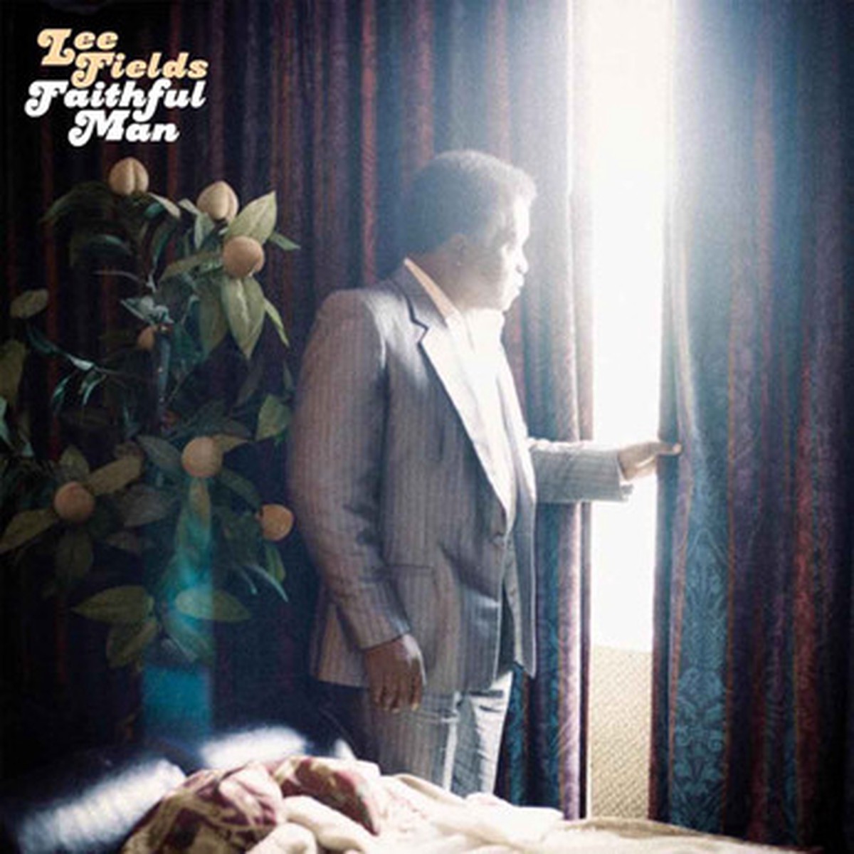 Lee Fields - Faithful Man (LP) - Purple Grape Vinyl