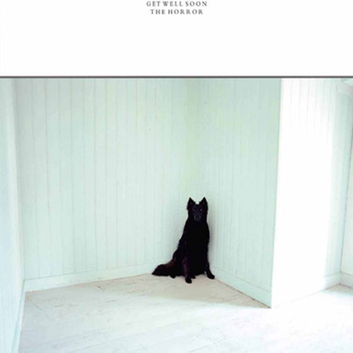 Get Well Soon - The Horror (2LP)