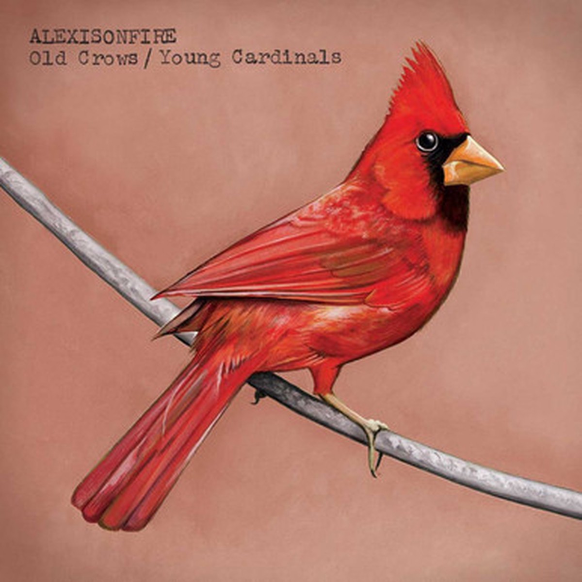 Alexisonfire - Old Crows / Young Cardinals (2LP) - 45RPM