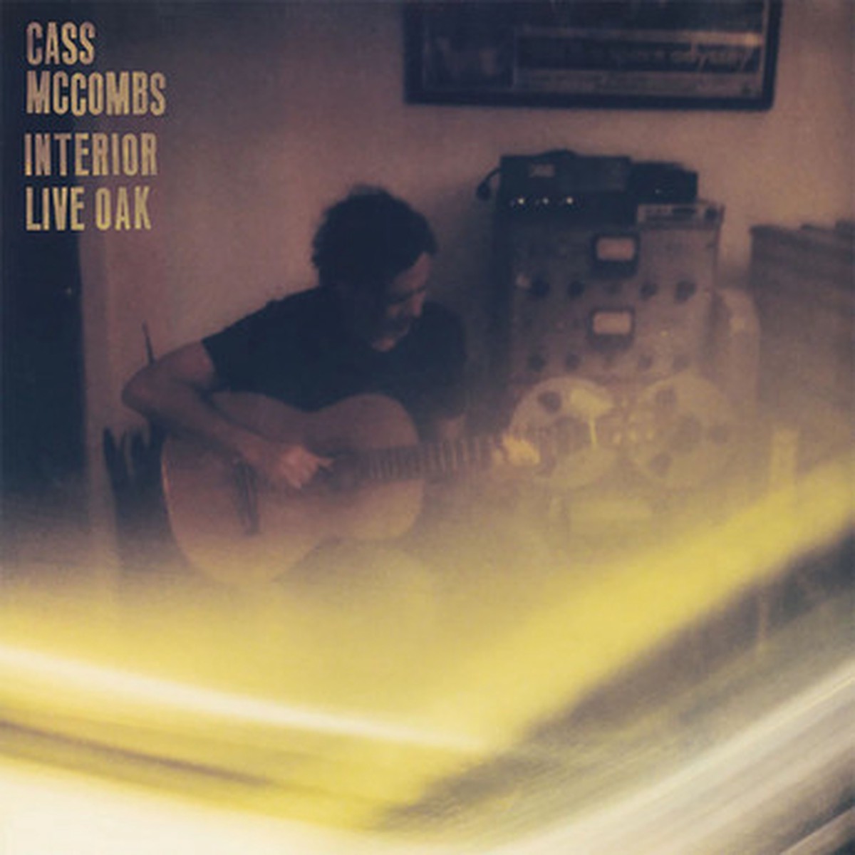 Cass McCombs - Interior Live Oak (2LP)