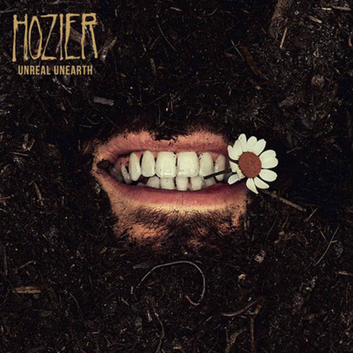 Hozier - Unreal Unearth (2LP)