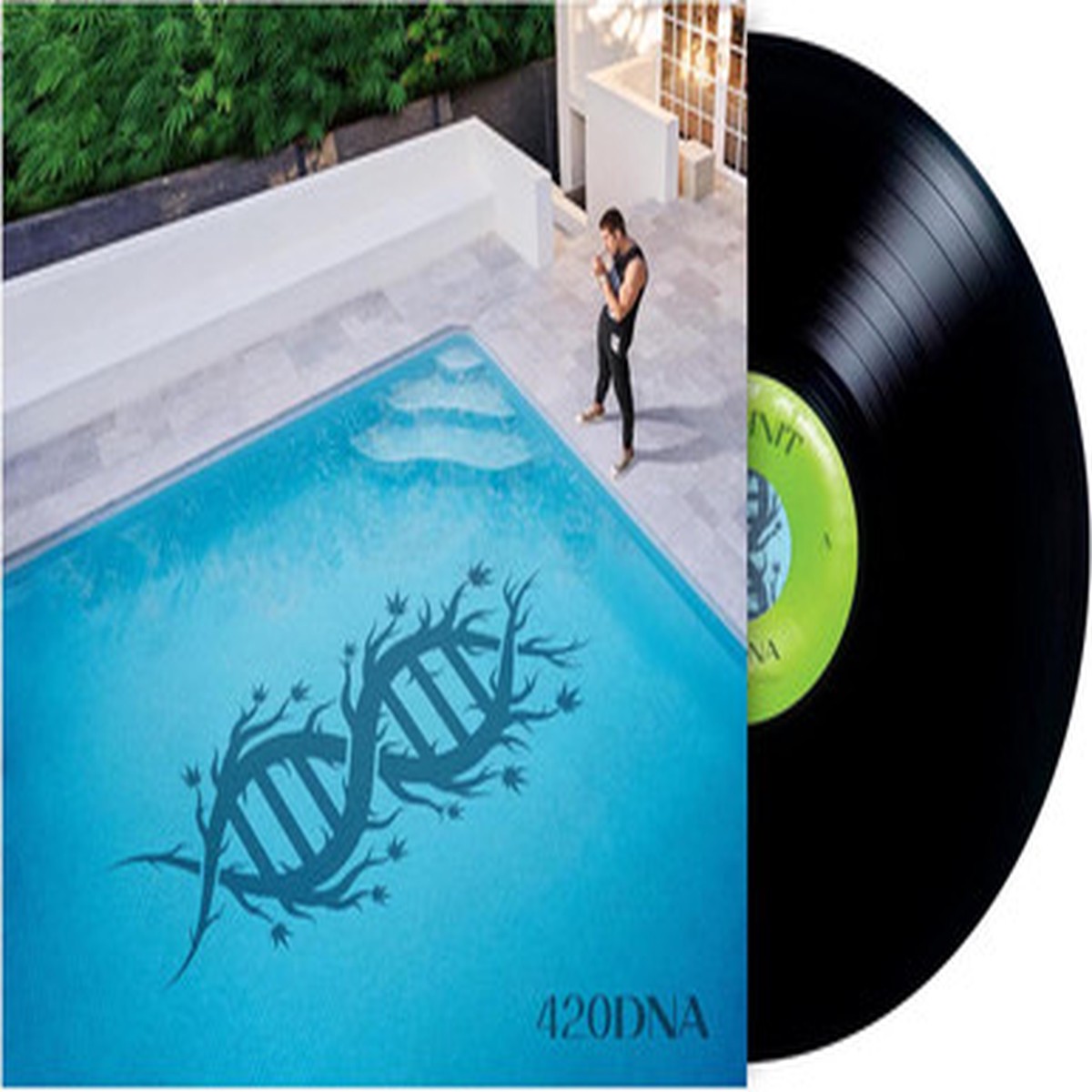 Chillinit - 420DNA (LP)