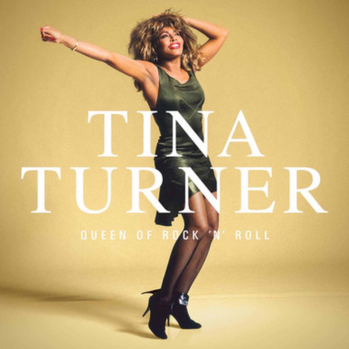 Tina Turner - Queen Of Rock 'N' Roll (LP)