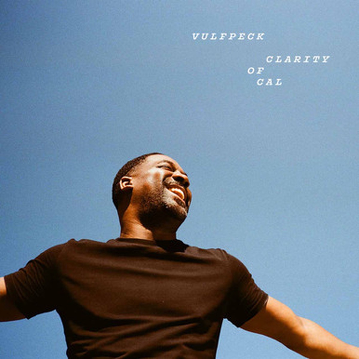 Vulfpeck - Clarity of Cal (LP)