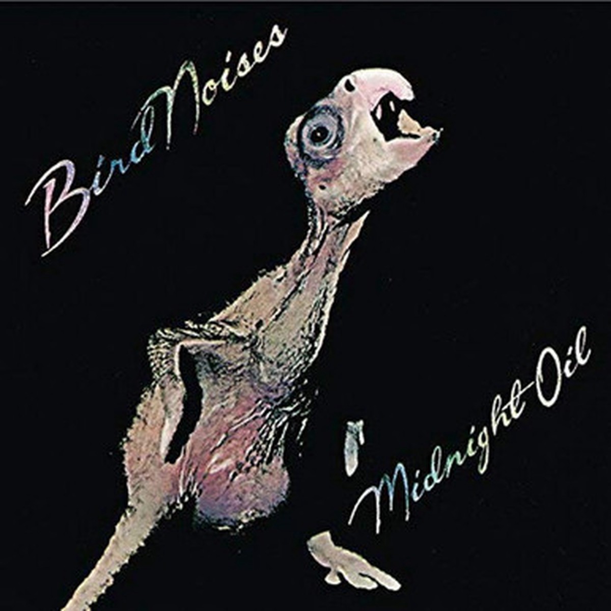 Midnight Oil - Bird Noises (EP) - 45RPM