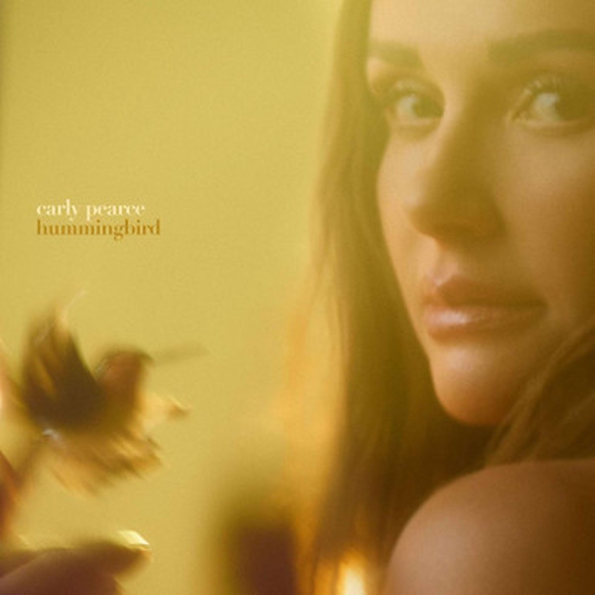 Carly Pearce - hummingbird (2LP)