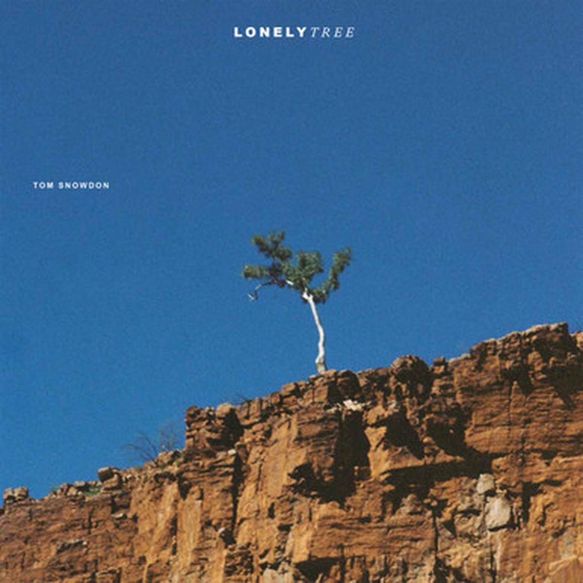 Tom Snowdon - Lonely Tree (LP) - Sky Blue Vinyl