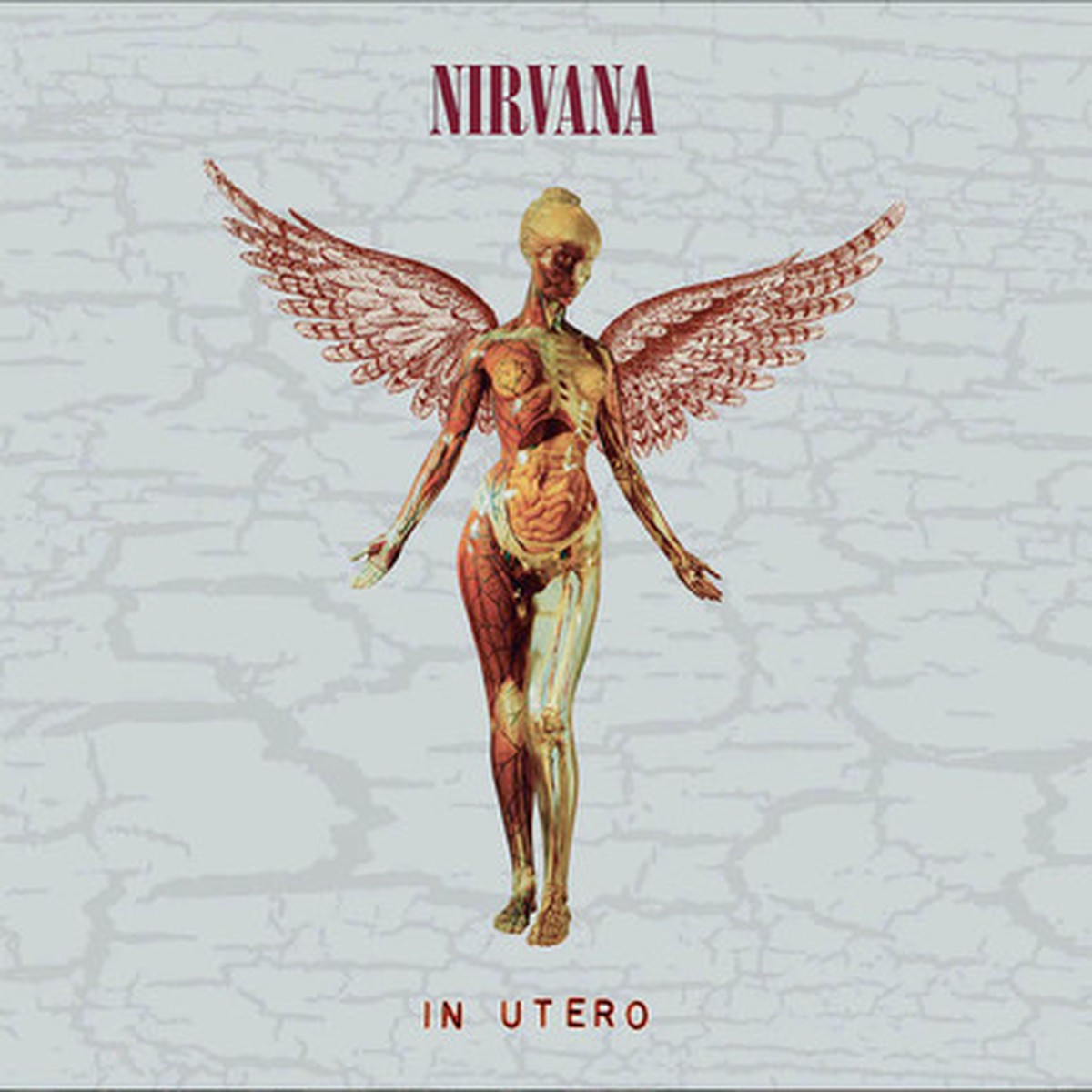Nirvana - In Utero (8LP) - Deluxe Edition 30th Anniversary Boxset
