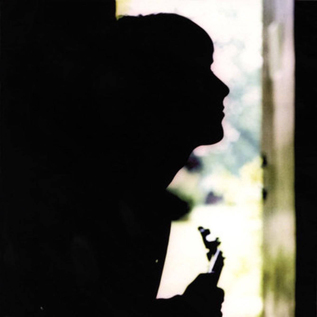 Paul Weller - Wild Wood (LP)