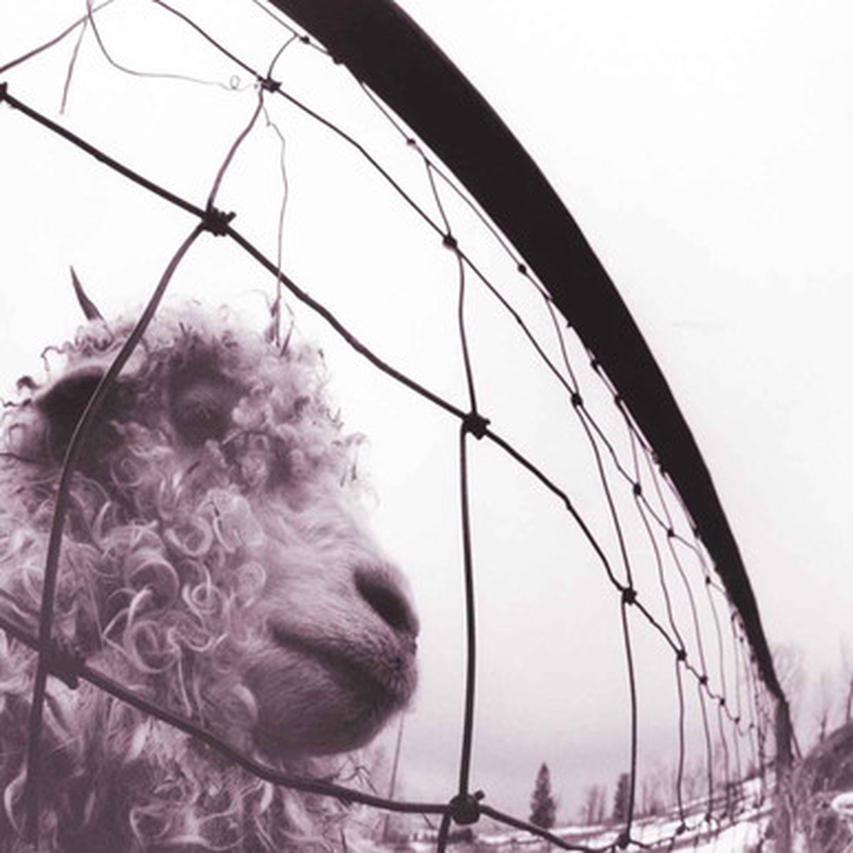 Pearl Jam - Vs. (2LP) - 45RPM 30th Anniversary Edition