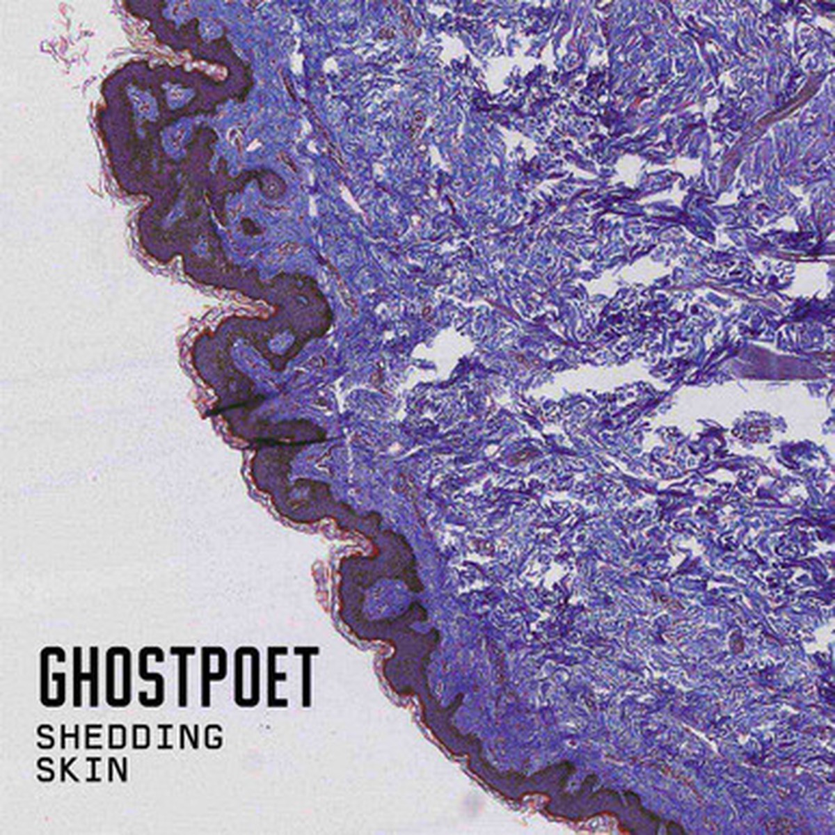 Ghostpoet - Shedding Skin (LP)
