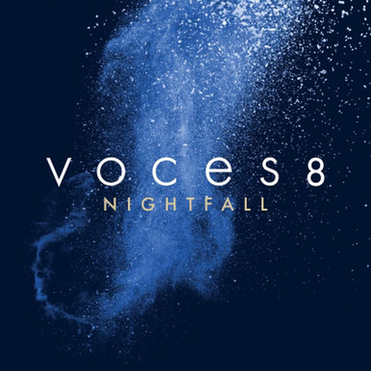VOCES8 - Nightfall (LP)