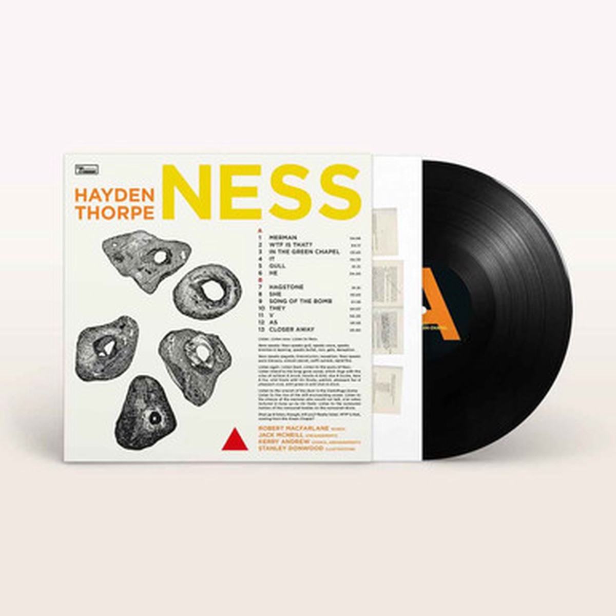 Hayden Thorpe - Ness (LP)
