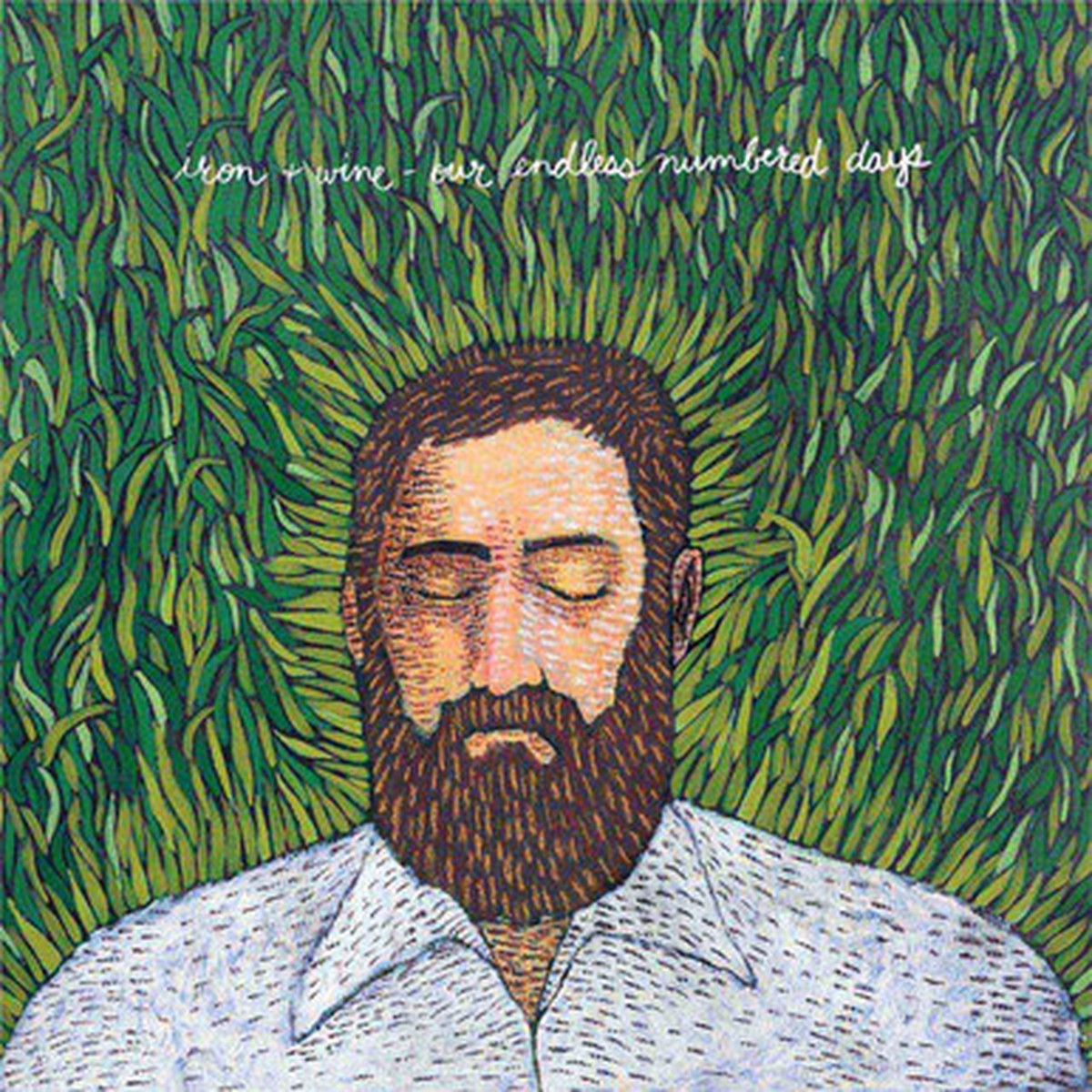 Iron And Wine - Our Endless Numbered Days (LP)