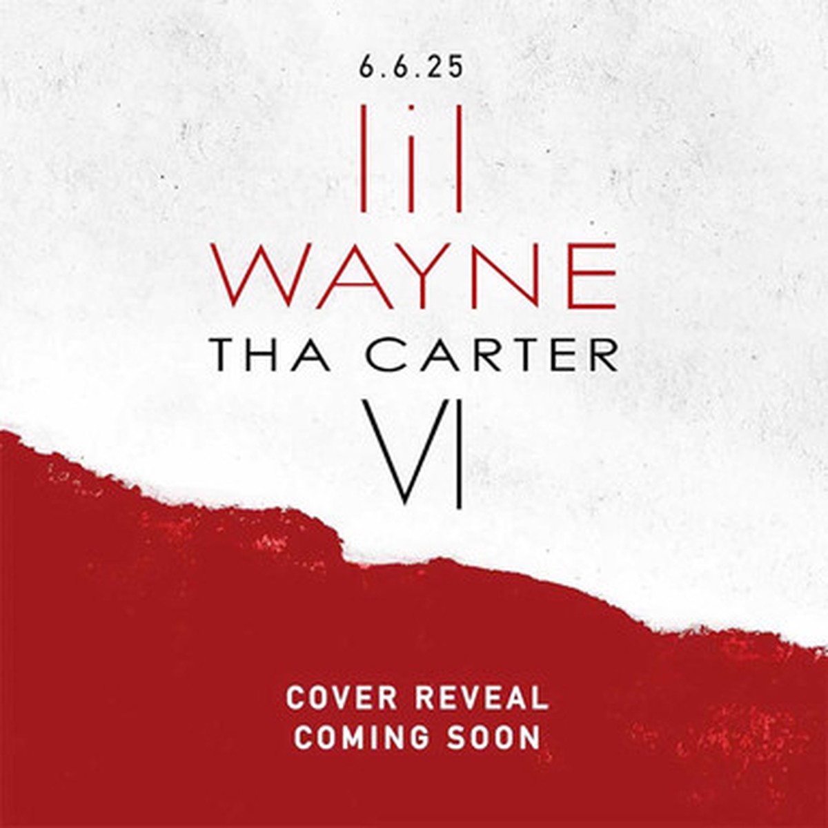 Lil Wayne - Tha Carter VI (LP)