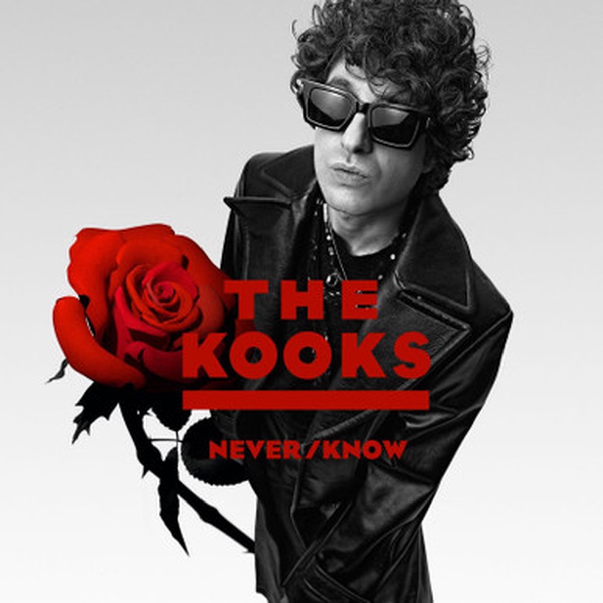The Kooks - Never/Know (LP) - Clear Vinyl