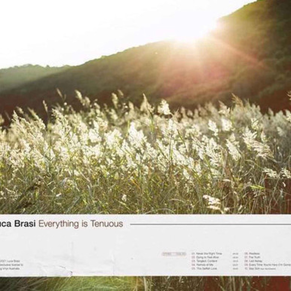 Luca Brasi - Everything Is Tenuous (LP) - Oxblood Vinyl