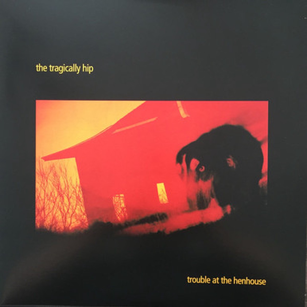 The Tragically Hip - Trouble At The Henhouse (2LP)