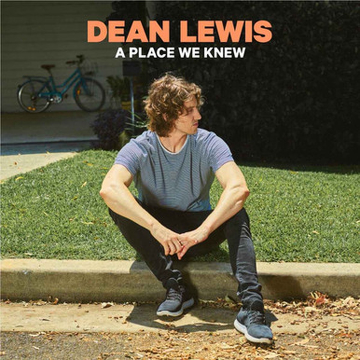 Dean Lewis - A Place We Knew (LP) - 5th Anniversary Evergreen Vinyl