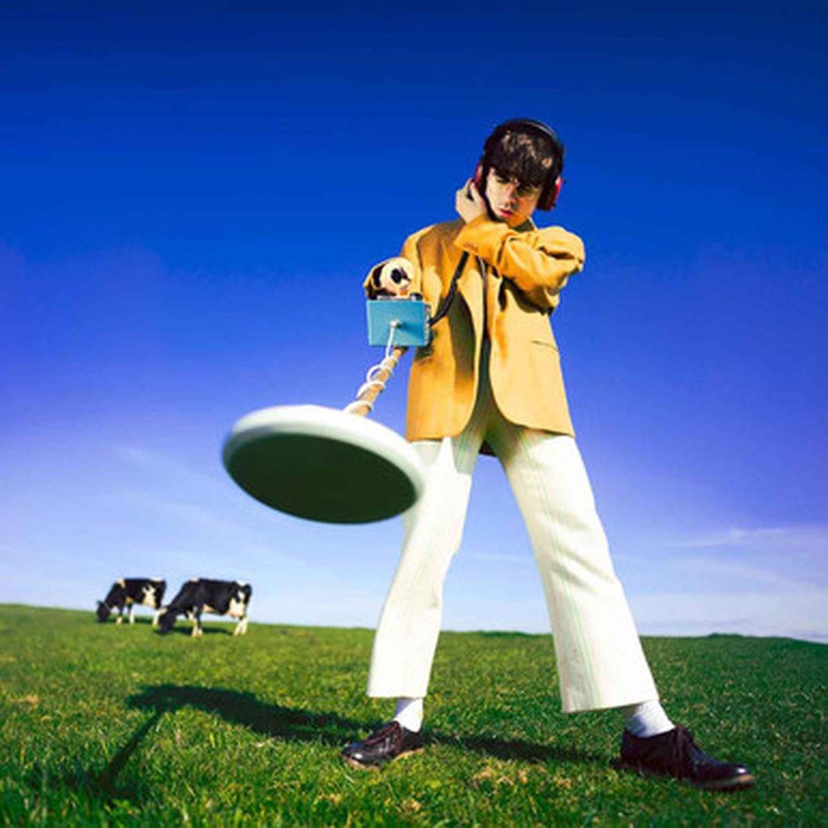 Declan McKenna - What Happened to the Beach? (LP)