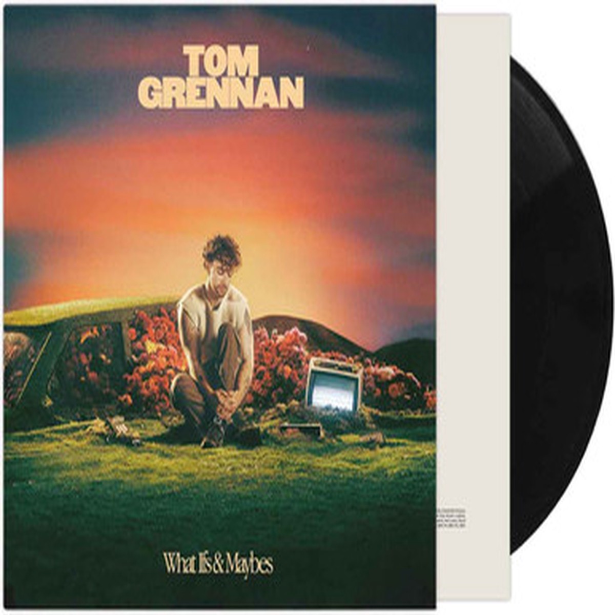Tom Grennan - What Ifs & Maybes (LP)