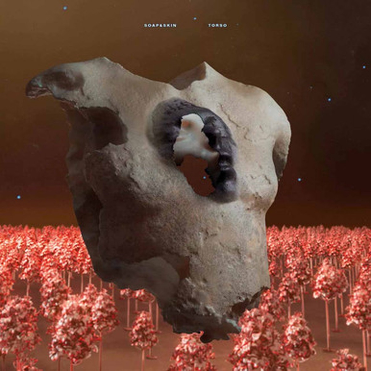 Soap&Skin - TORSO (LP)
