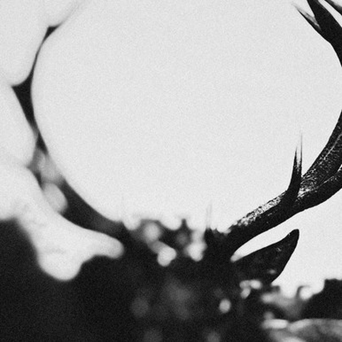Ihsahn - Ihsahn (Orchestral) (2LP) - Clear With Black Smoke Vinyl