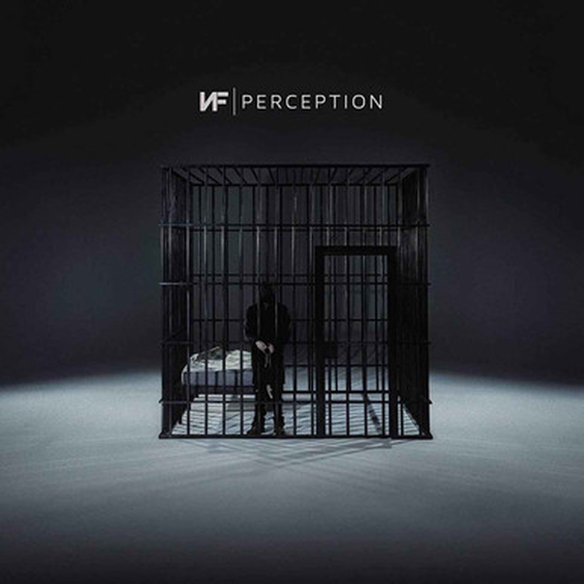 NF - Perception (2LP)